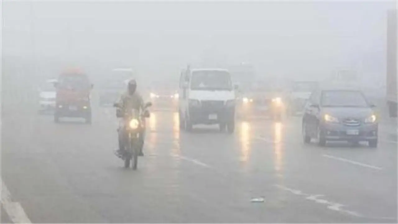 تحذير للسائقين.. كثافة الشبورة تدفع الأرصاد لإعلان إرشادات القيادة الآمنة على الطرقات